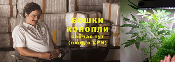 ГАЛЛЮЦИНОГЕННЫЕ ГРИБЫ Остров